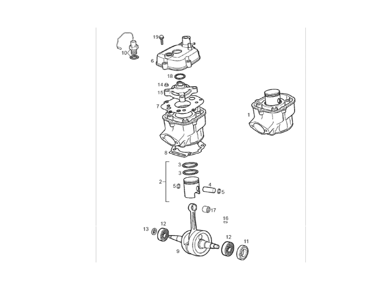 Cylinder piston