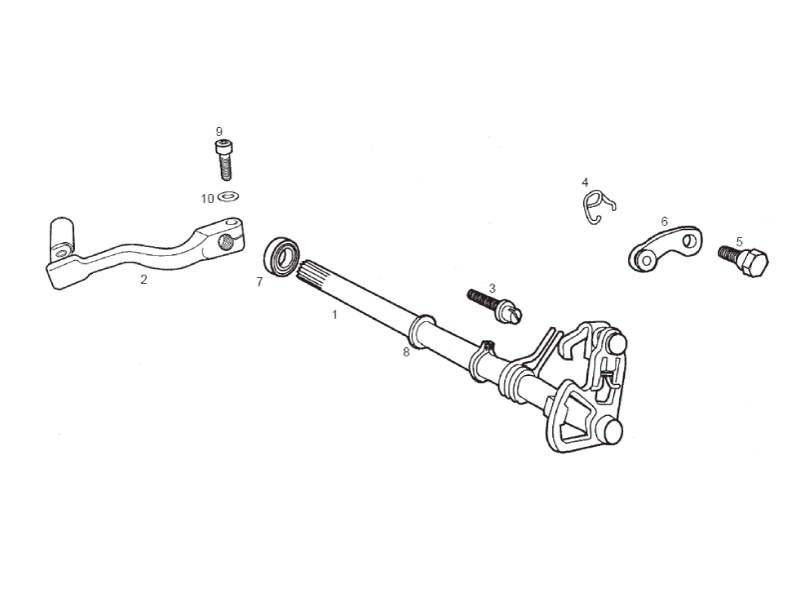 Selector shaft
