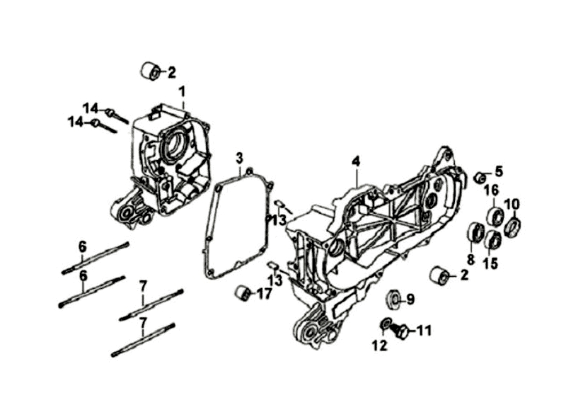 15.CARNK CASE