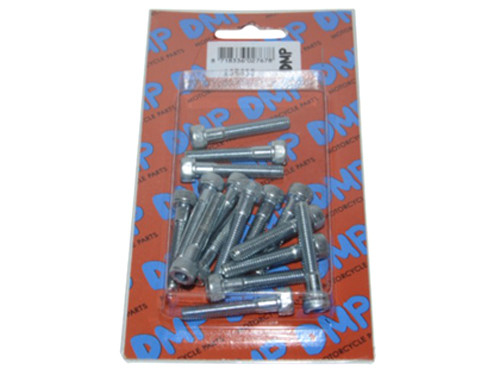 Bout Set Kickstarterdeksel Piaggio 2T