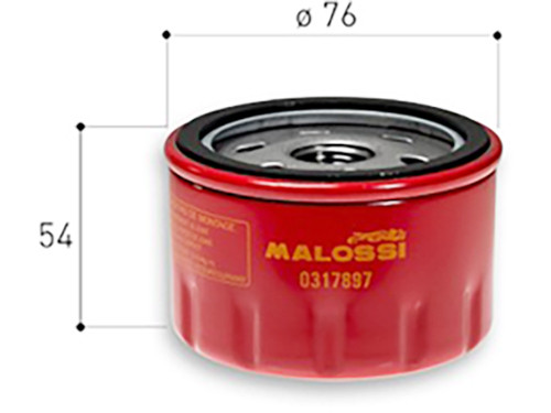 oliefilter ak550i/bmw/c400gt/c650gt/kymco/r1200 malossi 0317897