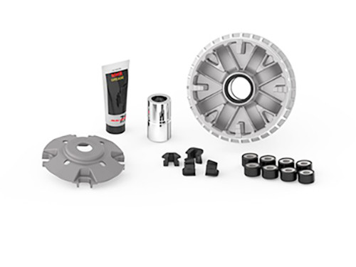 variokit euro-4/5 tricity x-max 300 malossi 5117861
