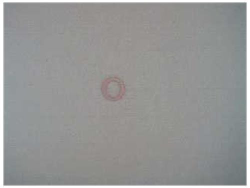 RING 16 x 22.5 x 1