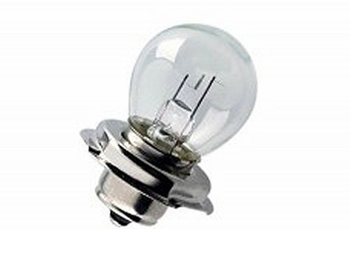 Flosser Lamp P26S 12V 20W