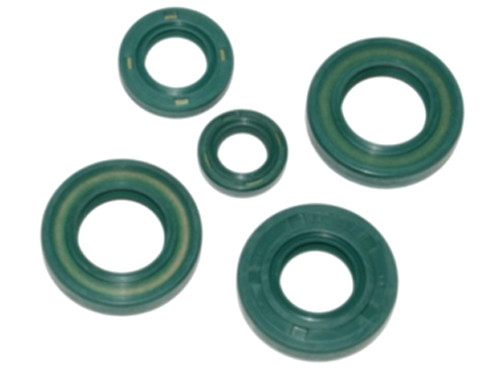 Keerring Set Compleet Motorblok Derbi Senda/GPR <2006