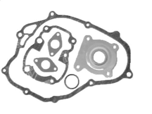 Pakking Set Compleet Motorblok Suzuki TS50X