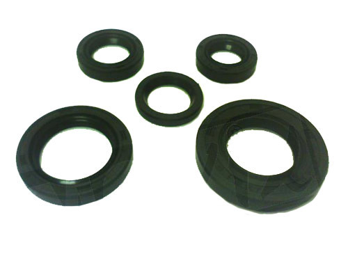 Keerring Set Compleet Motorblok 5-Delig Morini AC / Hyosung Rush