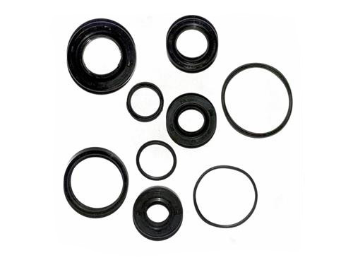 RMS Keerring Set Compleet Motorblok Honda SFX/X8R