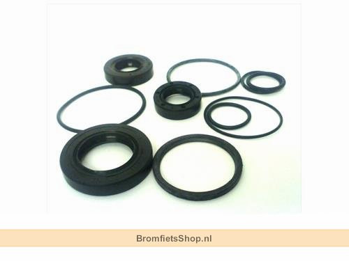BAC Keerring Set Compleet Motorblok Kymco DJ50Y