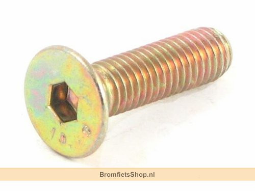 Bout Remschijf M8x30 Yamaha Neo