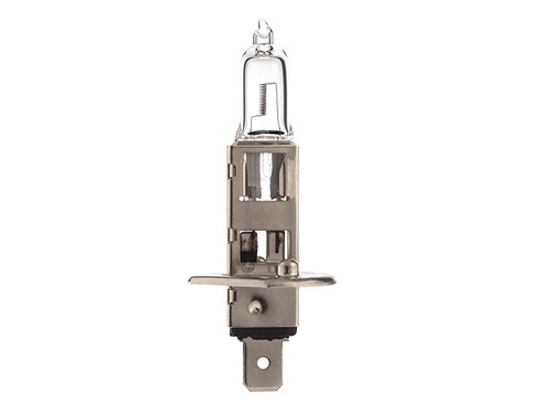 Lamp P14.5S 12V 55W H1
