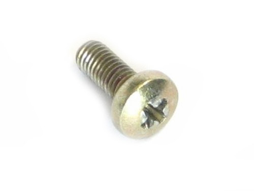 FLYWHEEL MAGNETO SCREW