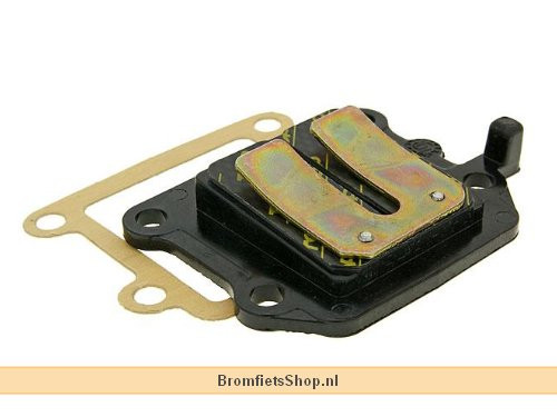 Membraan 2-Kleppen Carbon Minarelli Verticaal