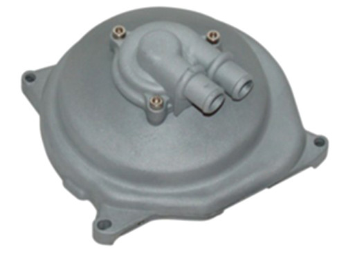 Waterpomp Compleet Grijs Minarelli Horizontaal