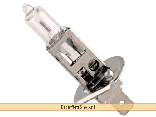 Lamp P14.5S 12V 55W H1