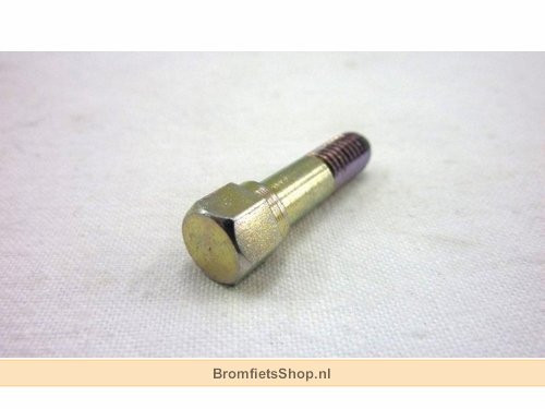 Carb klembout dell orto Citta
