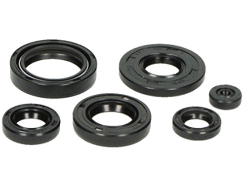 Keerring Set Compleet Motorblok Yamaha DT50MX/RD50MX/TY50/MX50