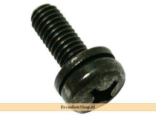 SCREW 6M100X16