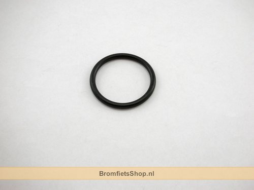 O RING OLIEFILTER PLUG FILLY AGILIT