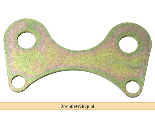 bevestigingsplaat dashboard ryz sm