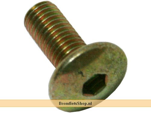 SPECIAL HEX SOCKET SCREW M-8X20