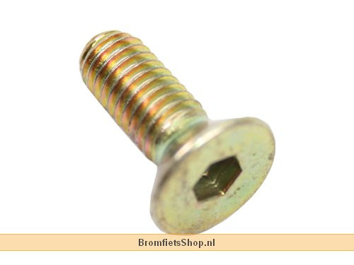 SCREW CONIC SOCKET 6X20 LOCTITE