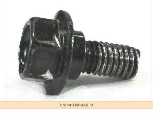 Schroef M6x1.00-13 8x5 Peugeot