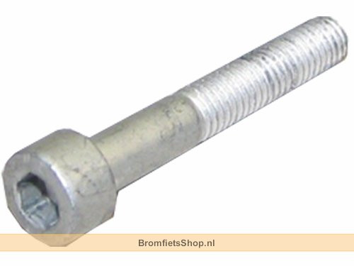 Binnenzeskant Bout M6x40 Piaggio