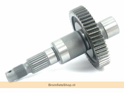 RADACHSE Z=50 C06-FCS D=24MM