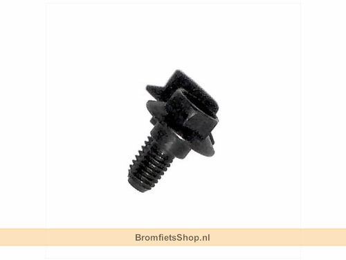 Flange Bolt 6MM SYM