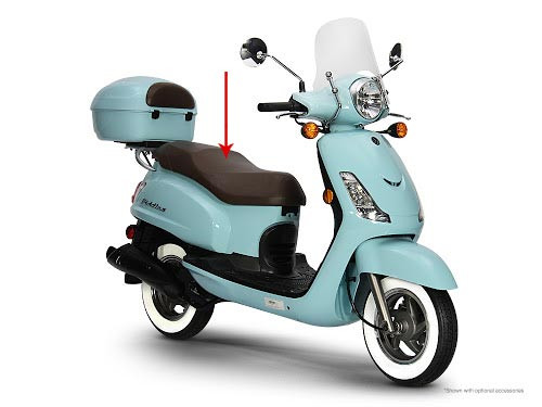 BUDDY SEAT BRUIN FIDDLE