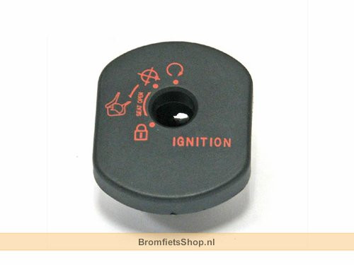 Ring SYM Orbit II