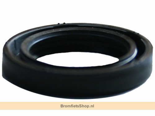 Keerring 24.7x37x6 TGB